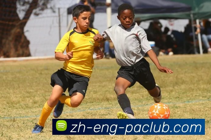 PA直营平台品牌故事